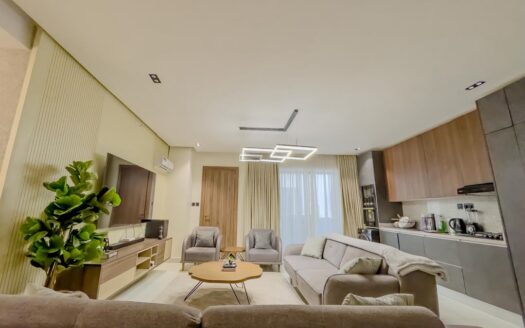 Furnished 2 Bedroom Apartment Lekki Phase 1