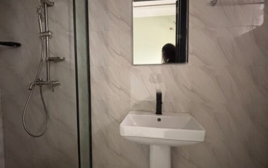 2 Bedroom Apartment Lekki Scheme 2